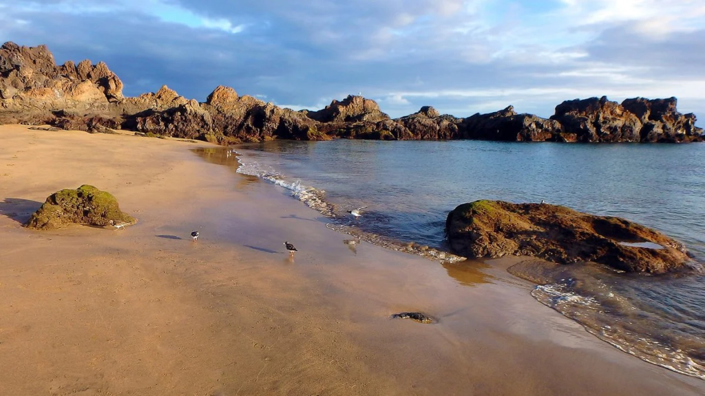 playa chica - puerto calero 