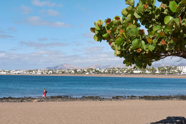 playa de los pocillos