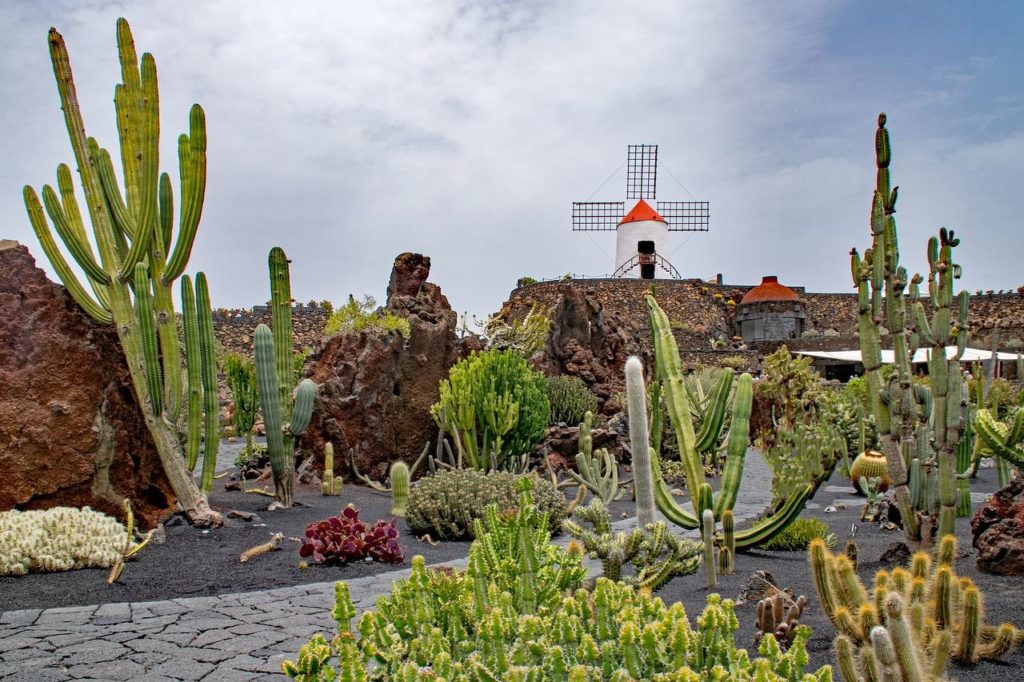 jardin de cactus - what to do in lanzarote