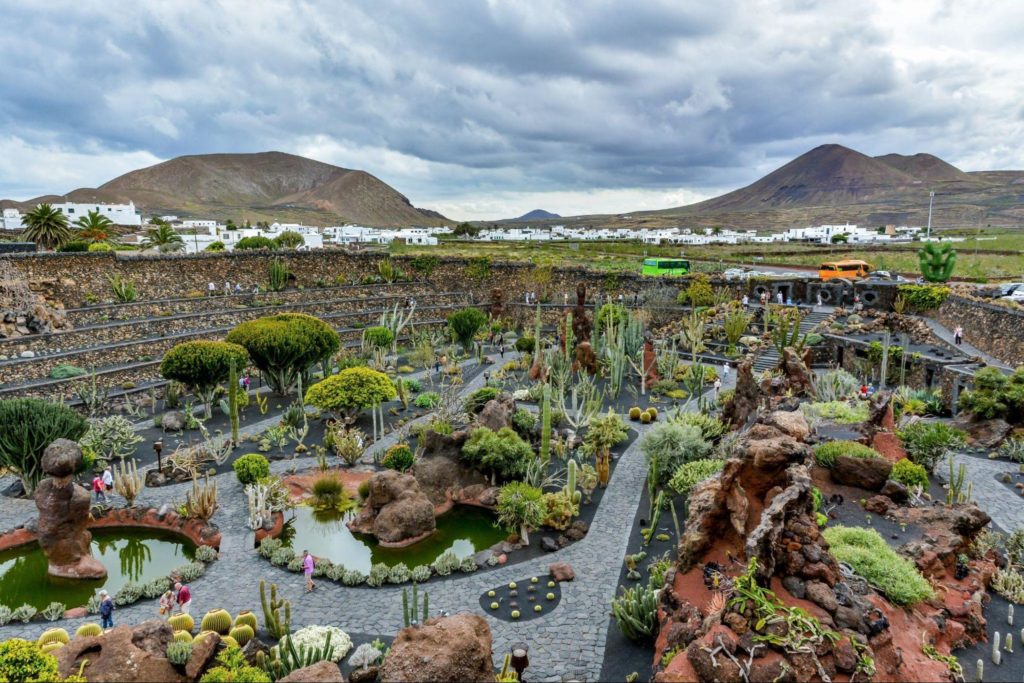 jardin de cactus en lanzarote 