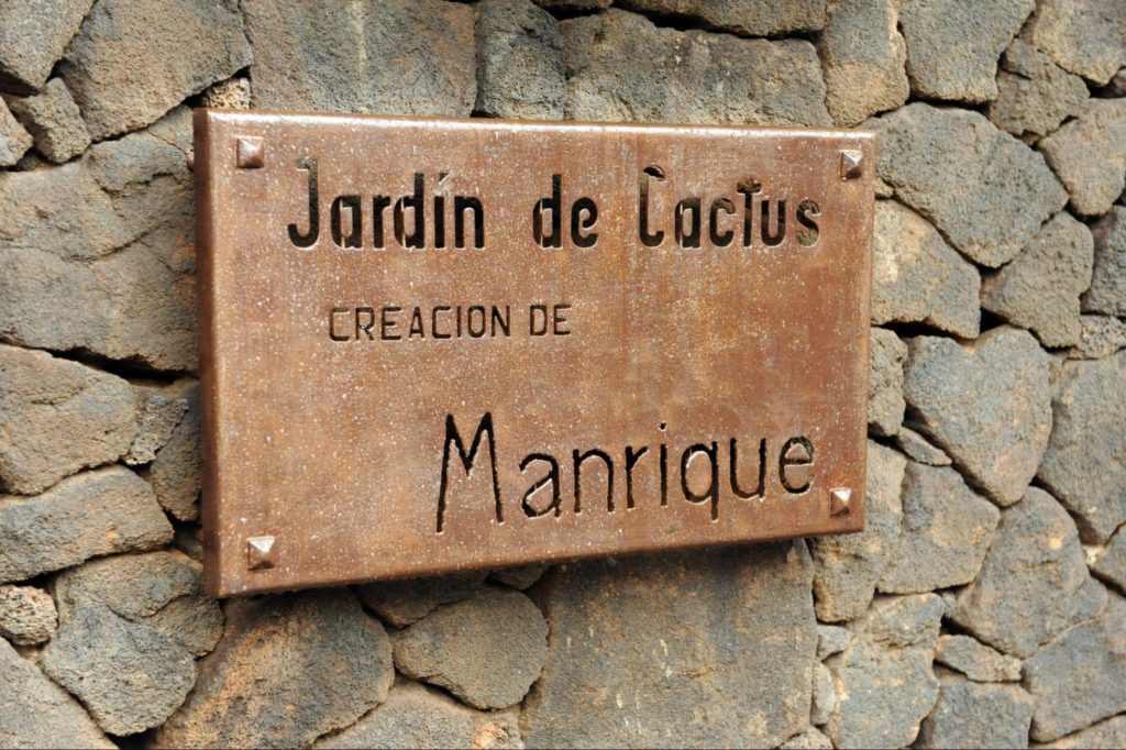 jardin de cactus