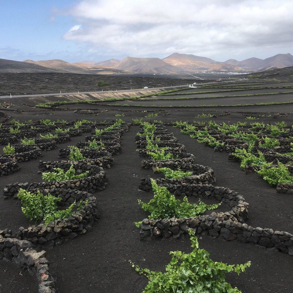 el grifo near luxury villa in lanzarote 